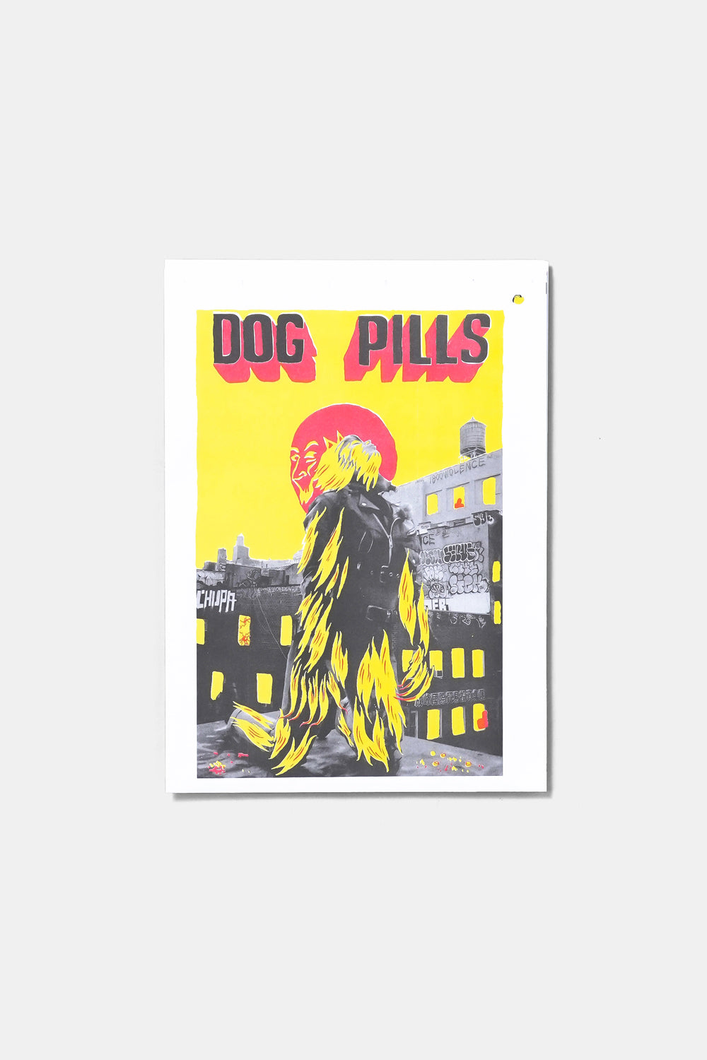 Dog Pills 1 / Papertown Company 