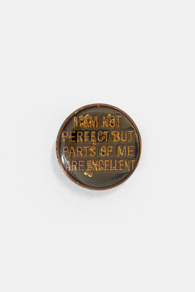Vtg 70's Bad words Pins / I AM NOT PERFECT BUT PARTS OF ME ARE EXCELLENT